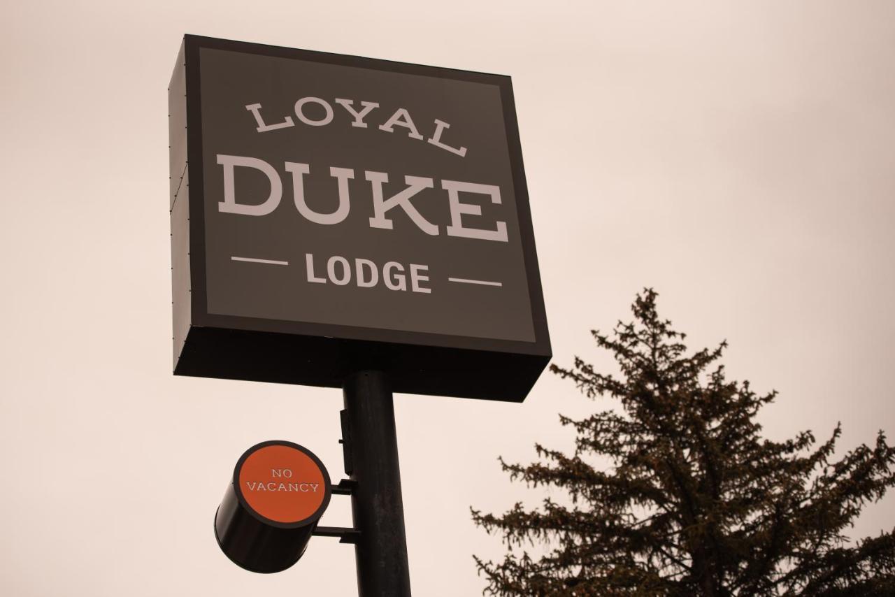Loyal Duke Lodge Салида Экстерьер фото